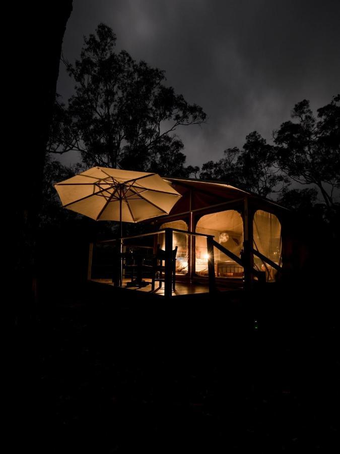 Wild Nature Lodge, Mareeba Wetlands Biboohra Eksteriør bilde
