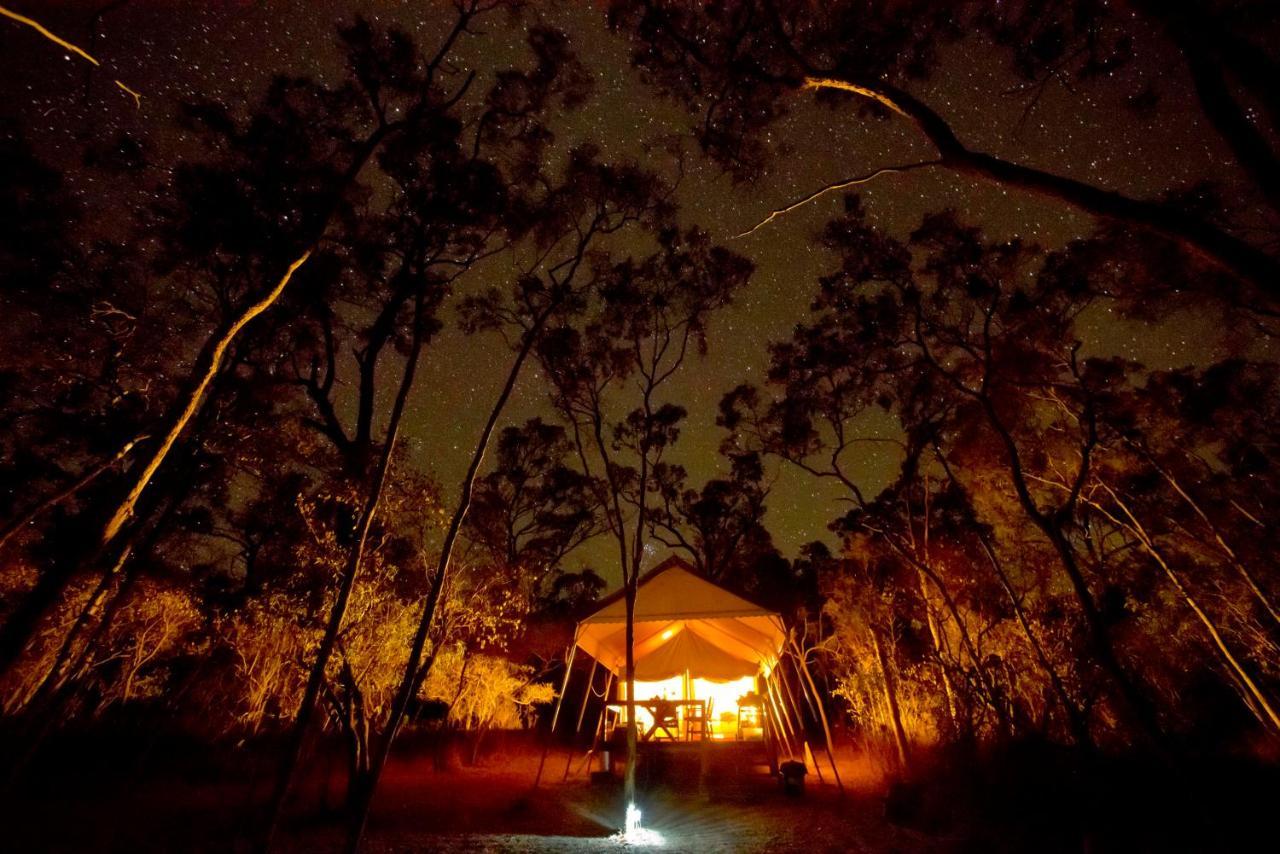 Wild Nature Lodge, Mareeba Wetlands Biboohra Eksteriør bilde