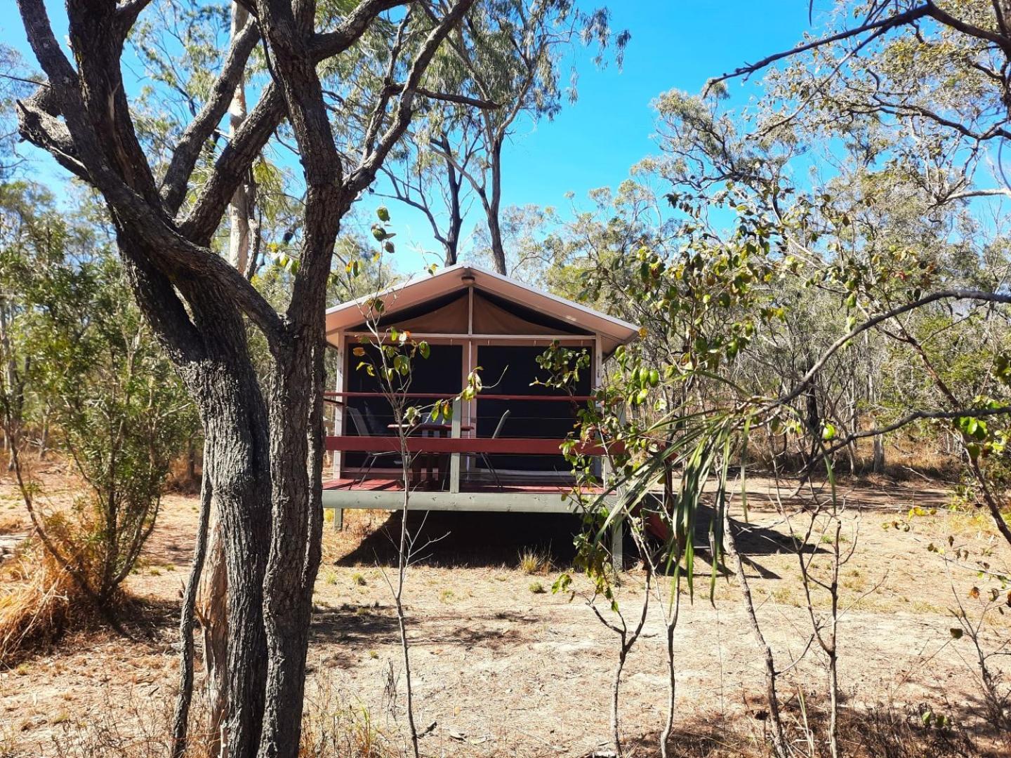 Wild Nature Lodge, Mareeba Wetlands Biboohra Eksteriør bilde